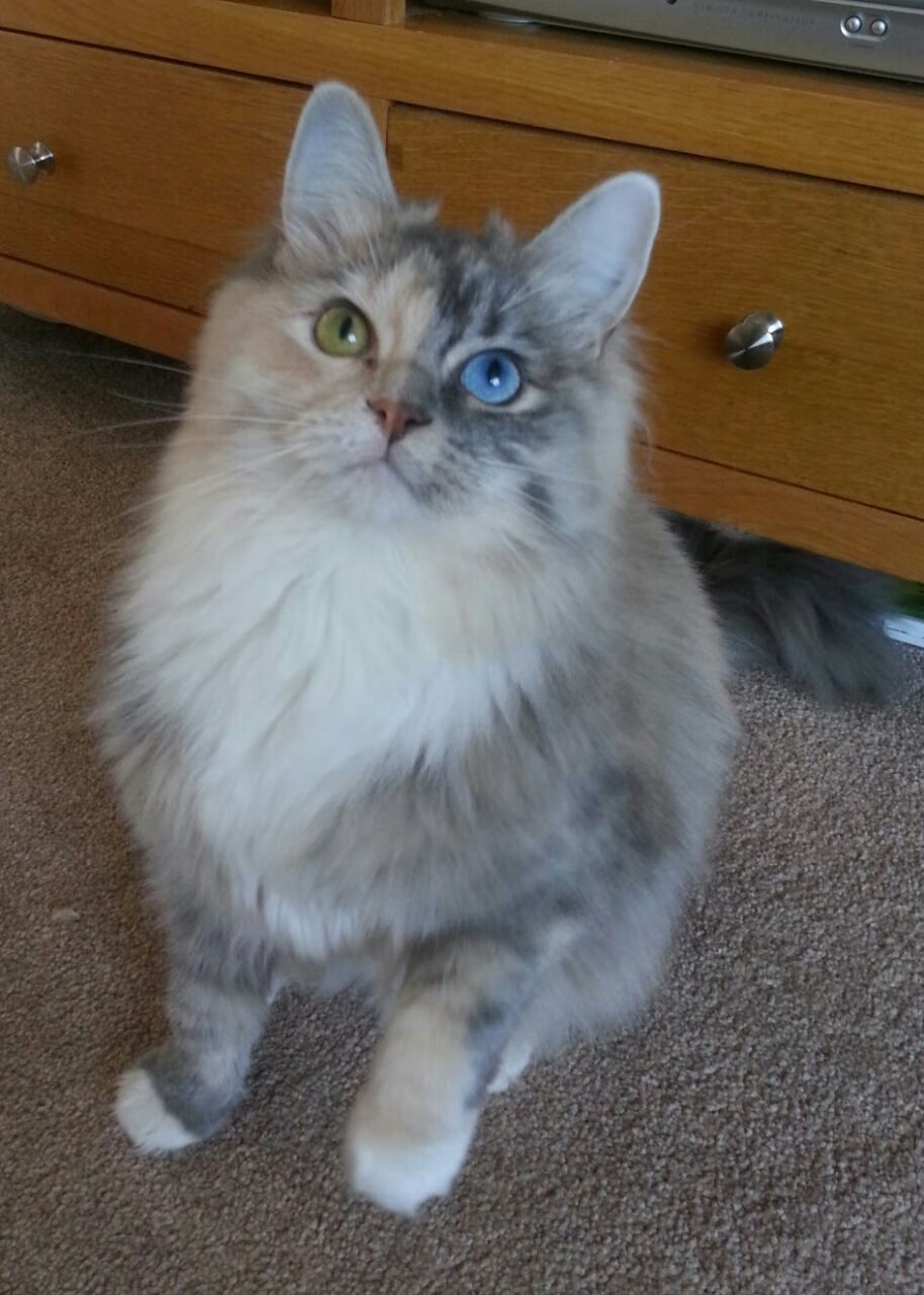 拉亚三扑单刀+助攻导演完胜！里昂季前热身横扫哥伦比亚国民竞技