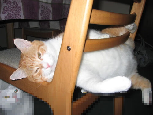 杜兰特数据核爆休斯顿,当死神以国王之名审判火箭