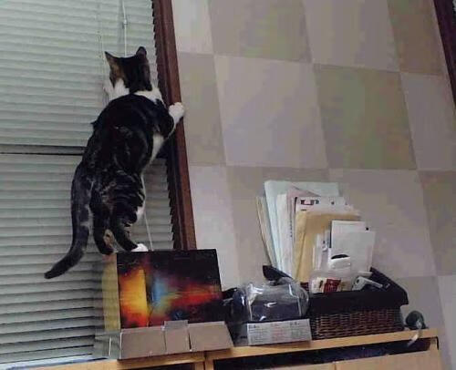 理想闪耀与冰冷现实，马丁内利画布上的足球悖论