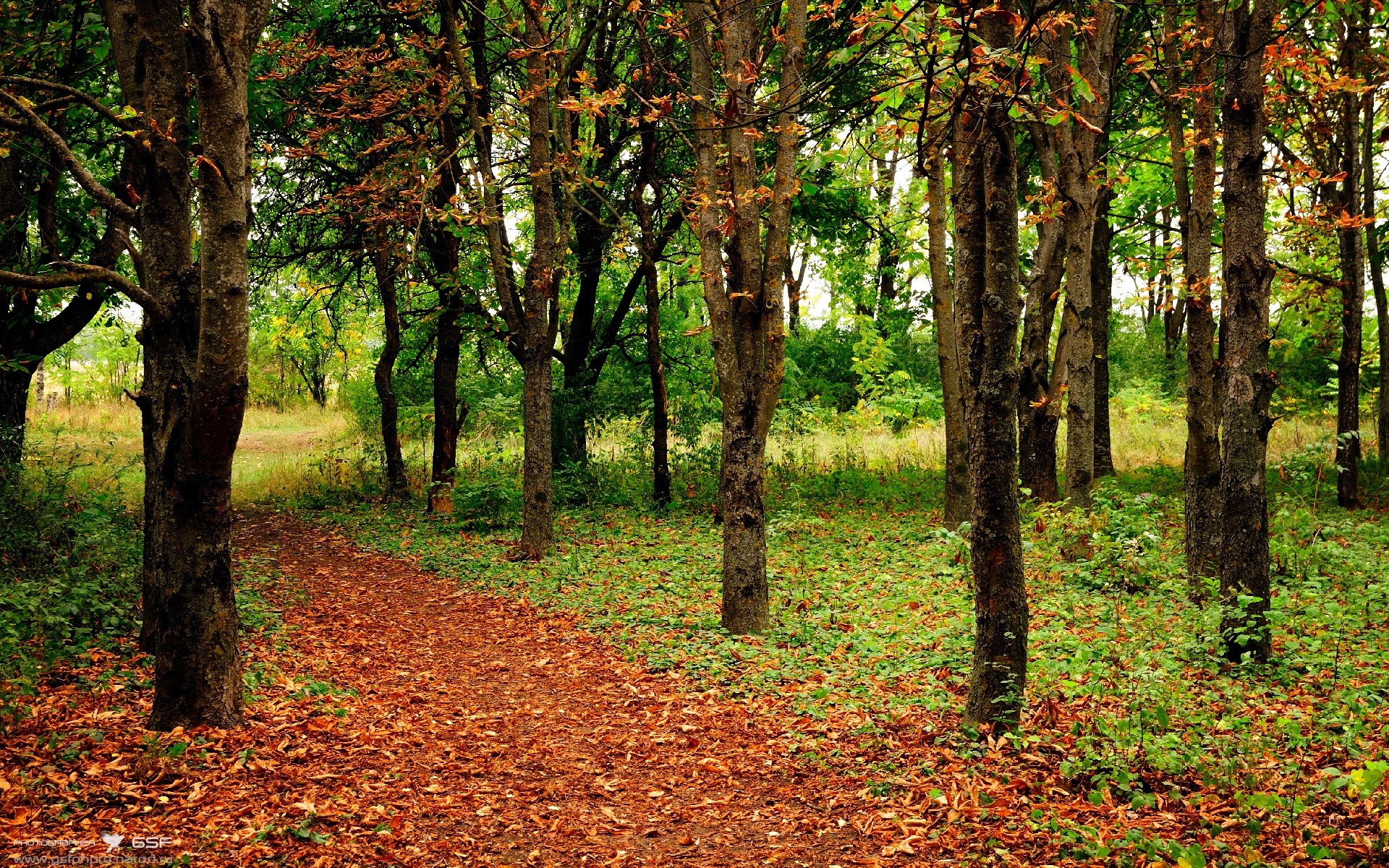 突尼斯对阵墨西哥,恩佐的存在感拉满,一位中场的强势入围