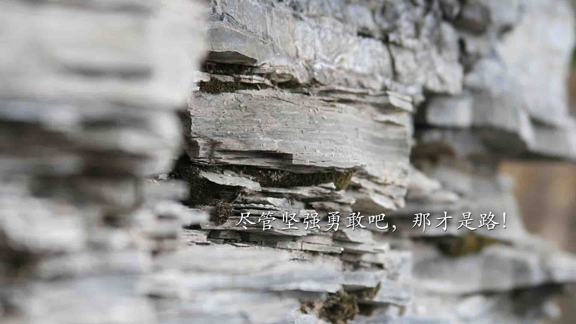 禁区统治者！戈贝尔遮天蔽日，老鹰末节猎杀时刻一波流带走奇才