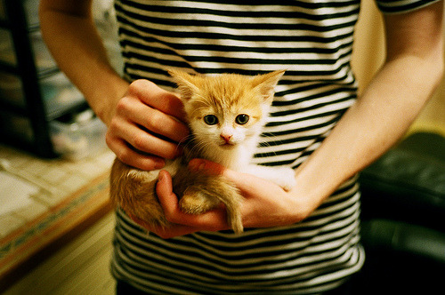 关键先生京多安，AC米兰加时取胜西班牙的幕后英雄