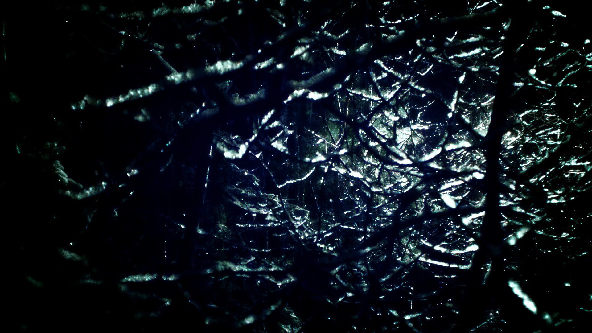 街道上的速度与对抗，F1焦点战与快船开拓者之战