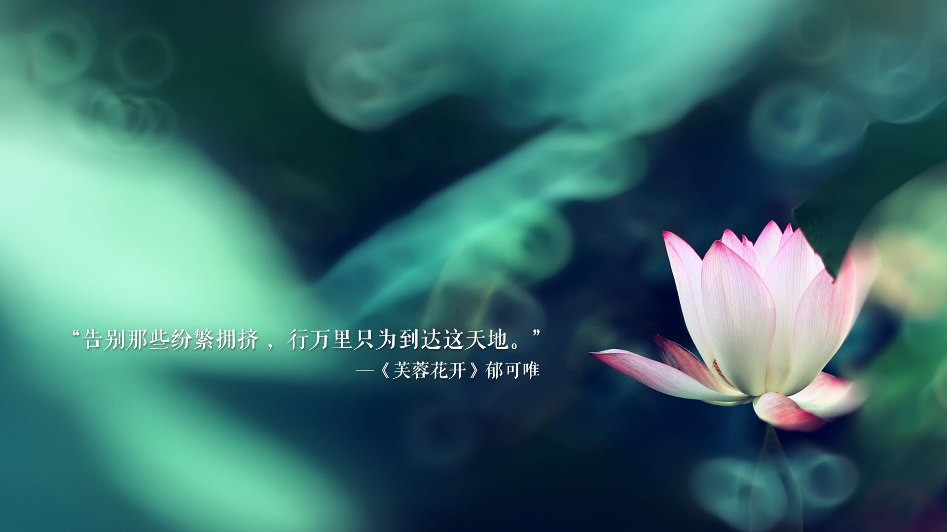 唯一的神话,2026世界杯A组,尼日利亚力克智利,德布劳内临场调度铸就逆转经典